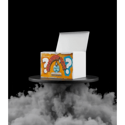 Olli-Baba Mystery Yu-Gi-Oh! BOX